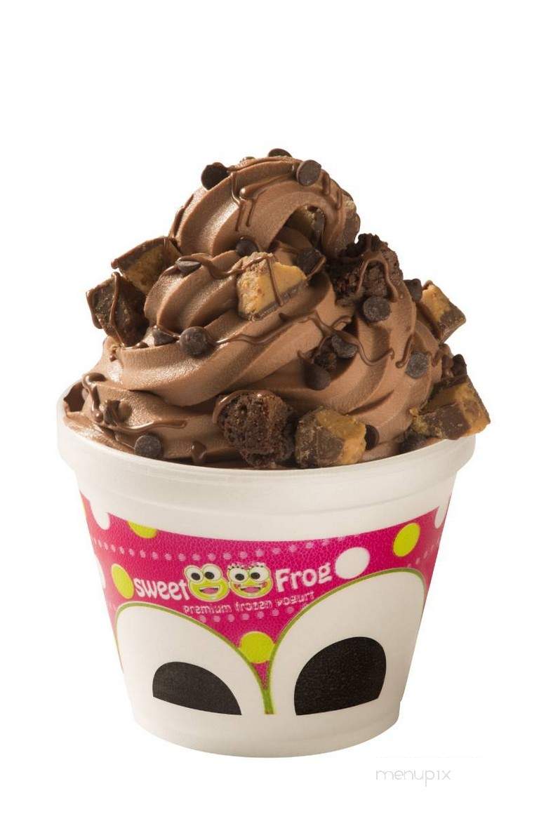 Sweet Frog Frozen Yogurt - Williamsport, PA