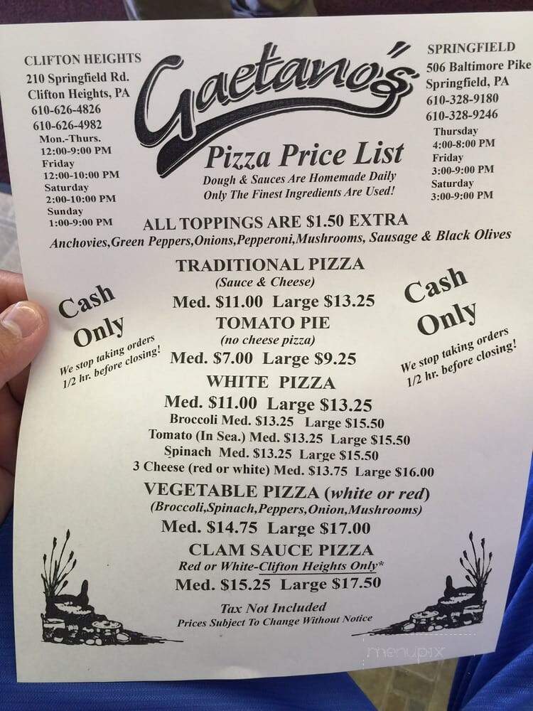 Gaetano's Pizzeria & Italian - Springfield, PA