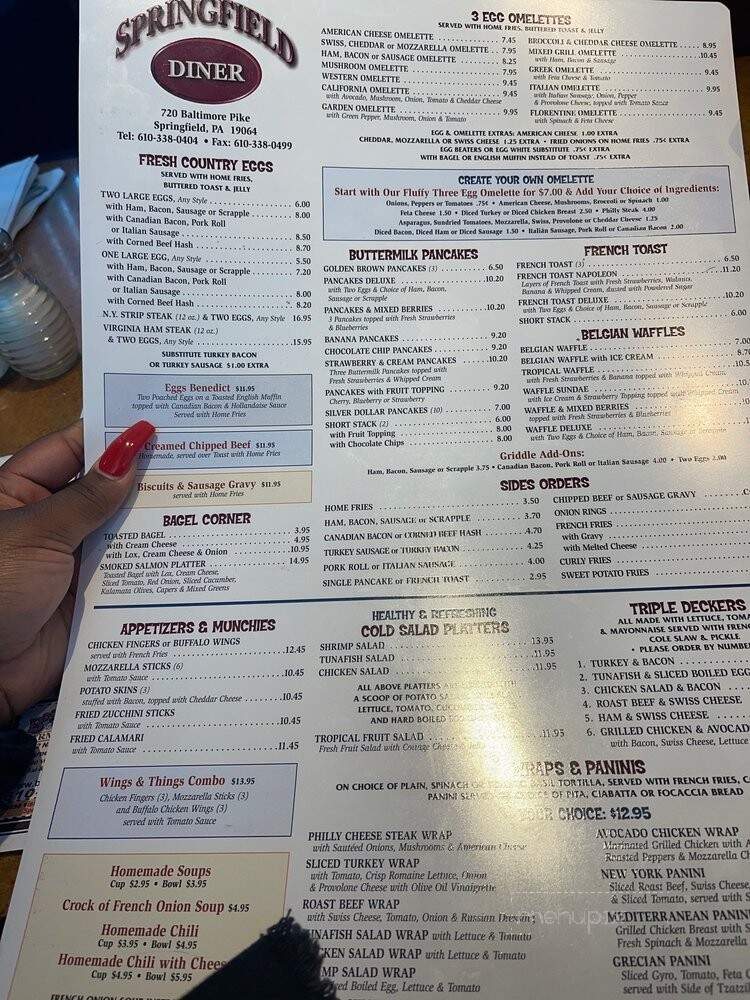 Springfield Diner - Springfield, PA